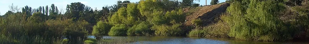 Avon River