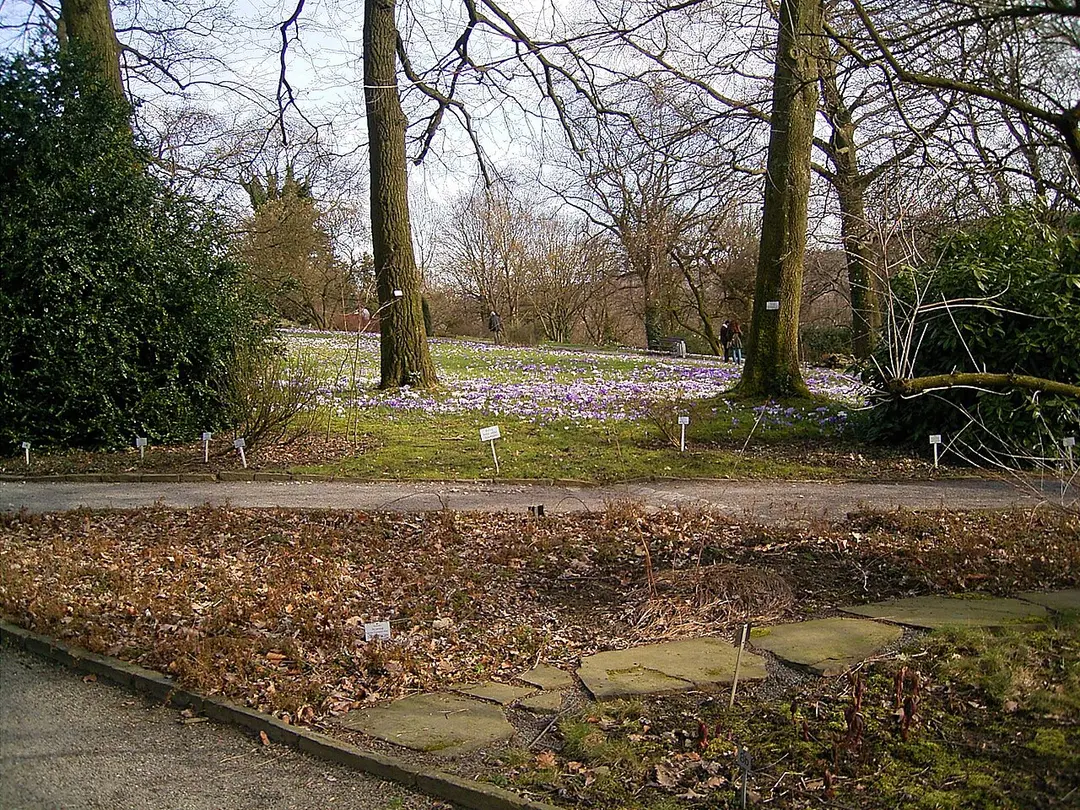 Botanischer Garten