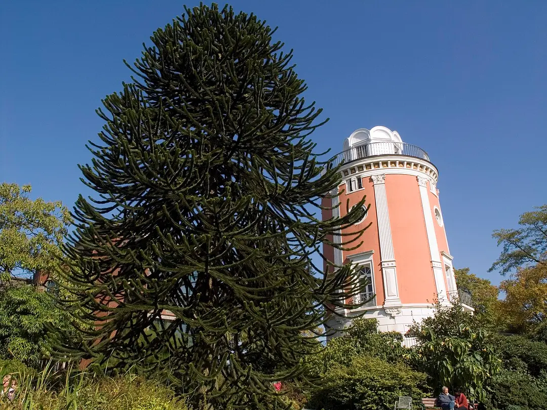 Botanischer Garten