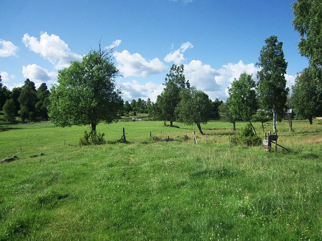 Tiskaretjärn (Atikullen)