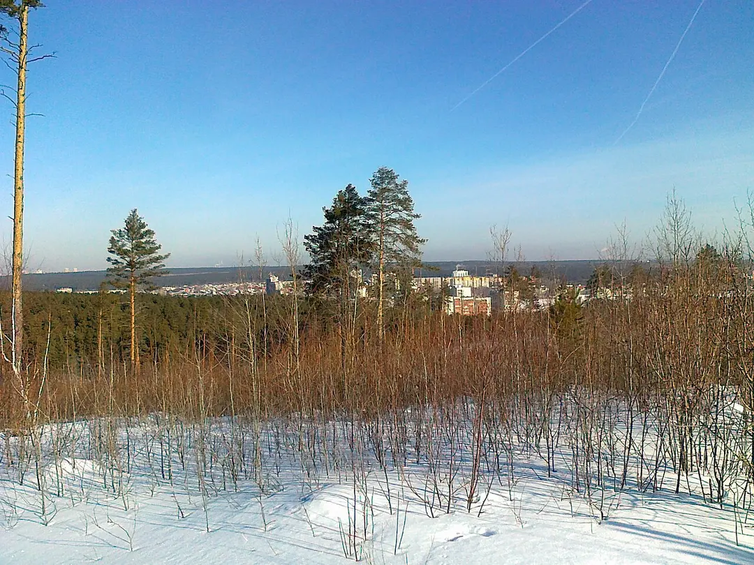 Uktussky Forest Park
