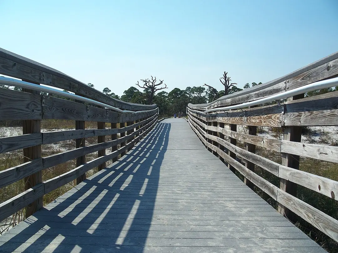 Bald Point State Park