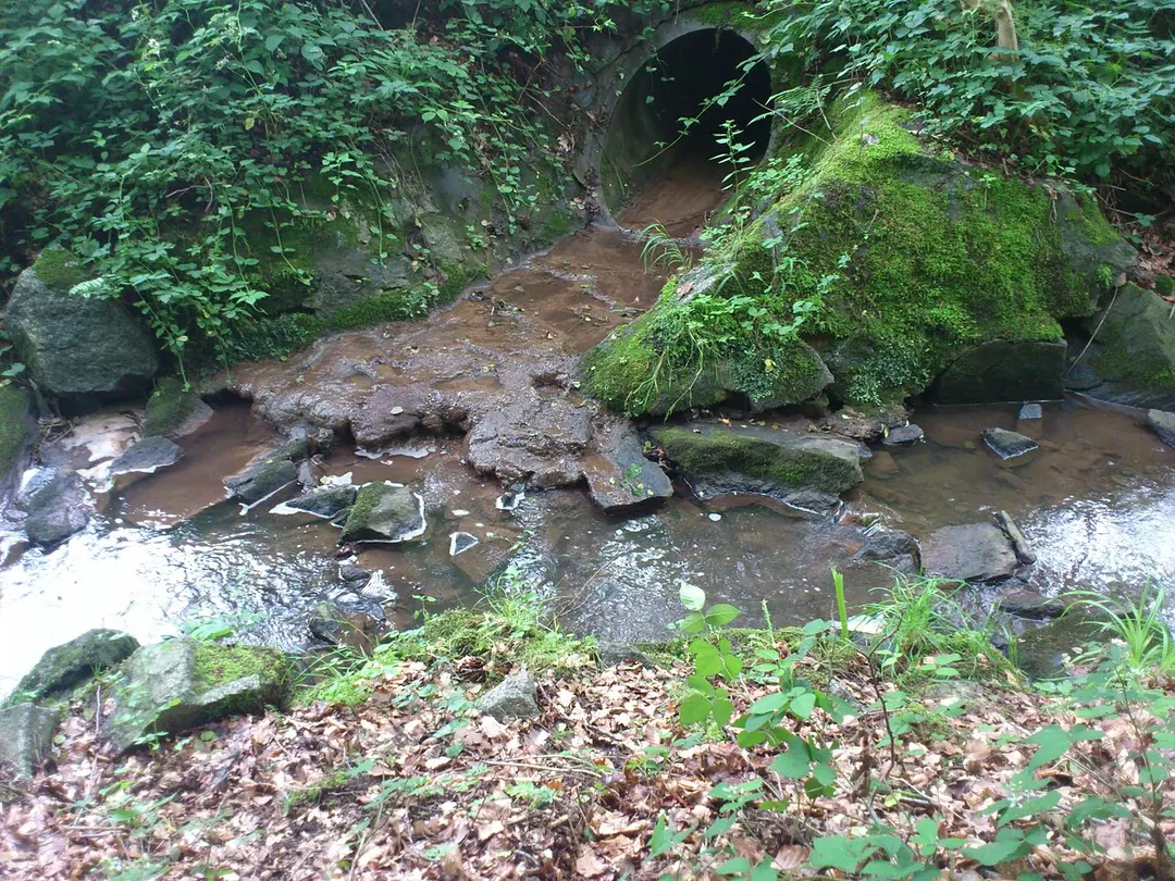 Neuwiesenbach