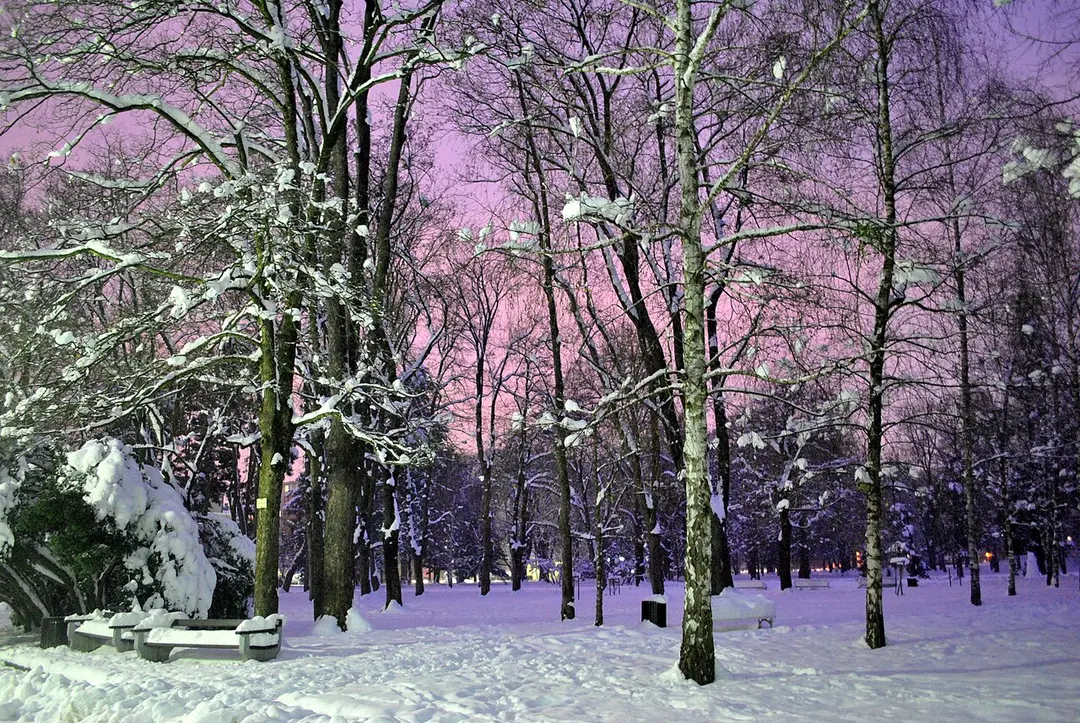 Maribor City Park