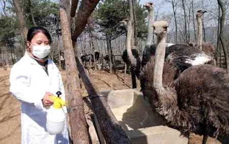Jinan Zoo