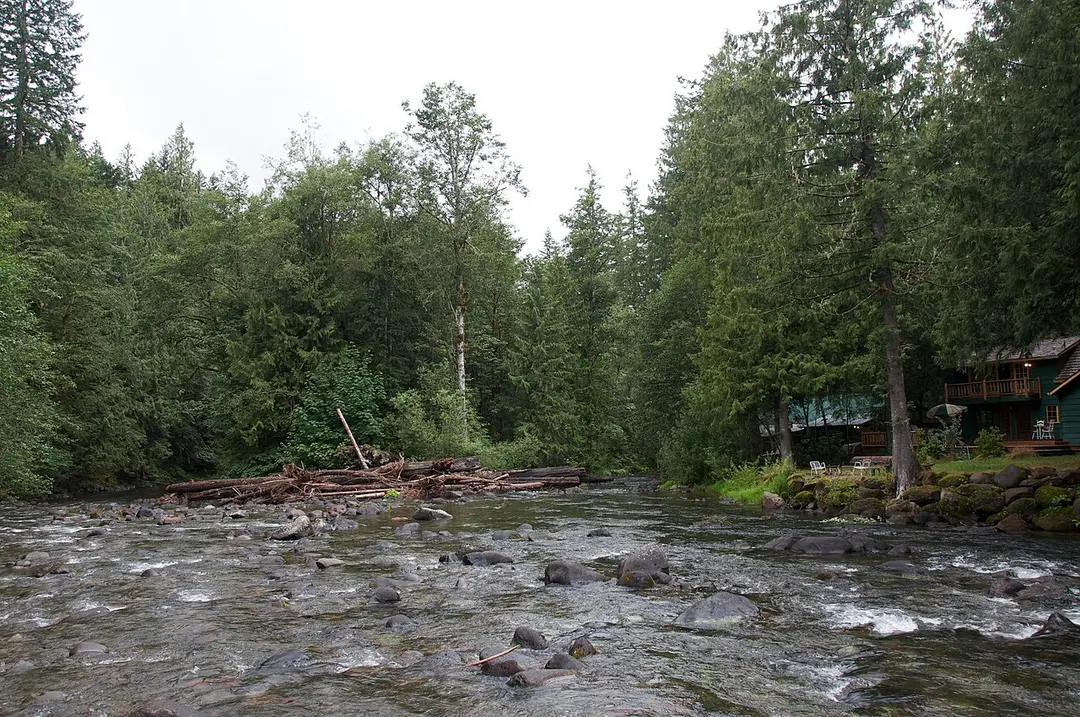 Salmon River