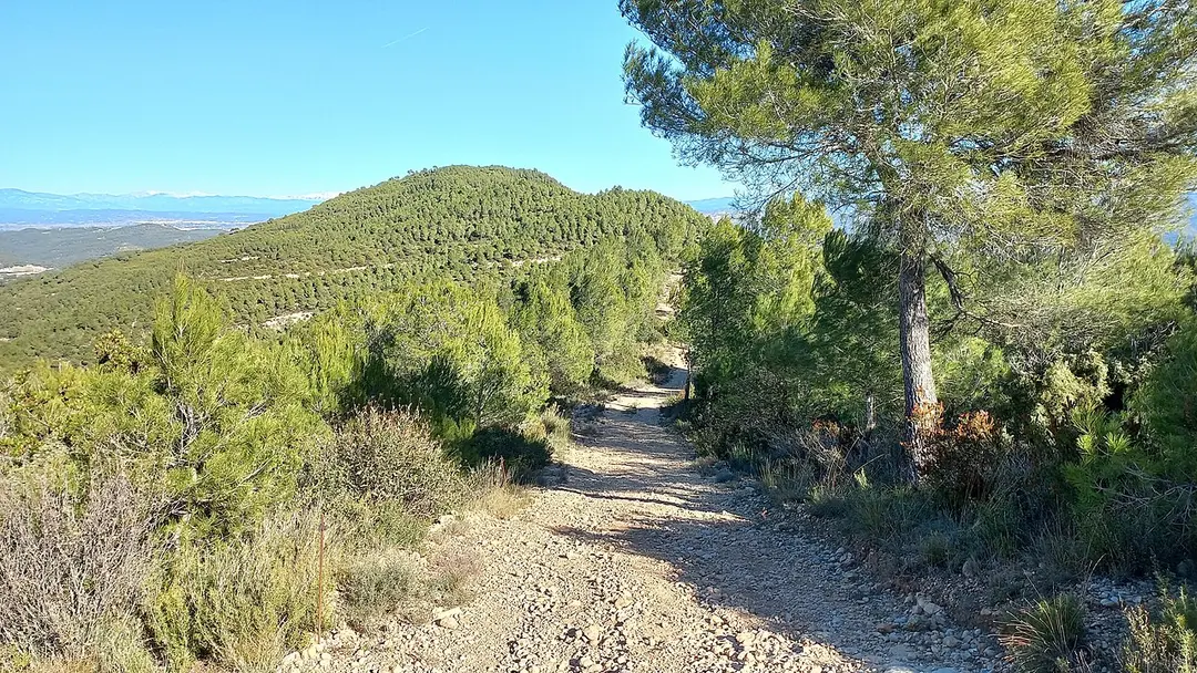 Turó de Comellats