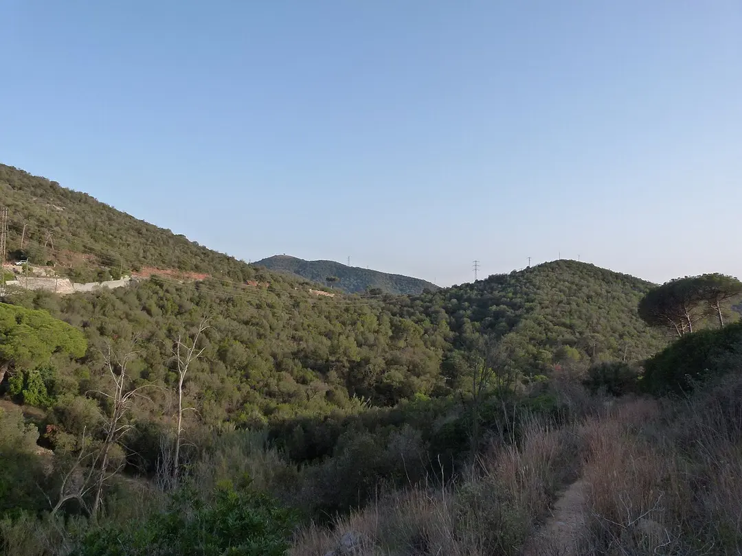 Turó d'en Tort