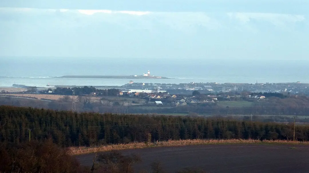 Coquet Island