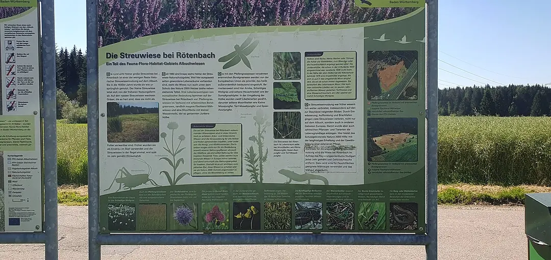 Streuwiese bei Rötenbach