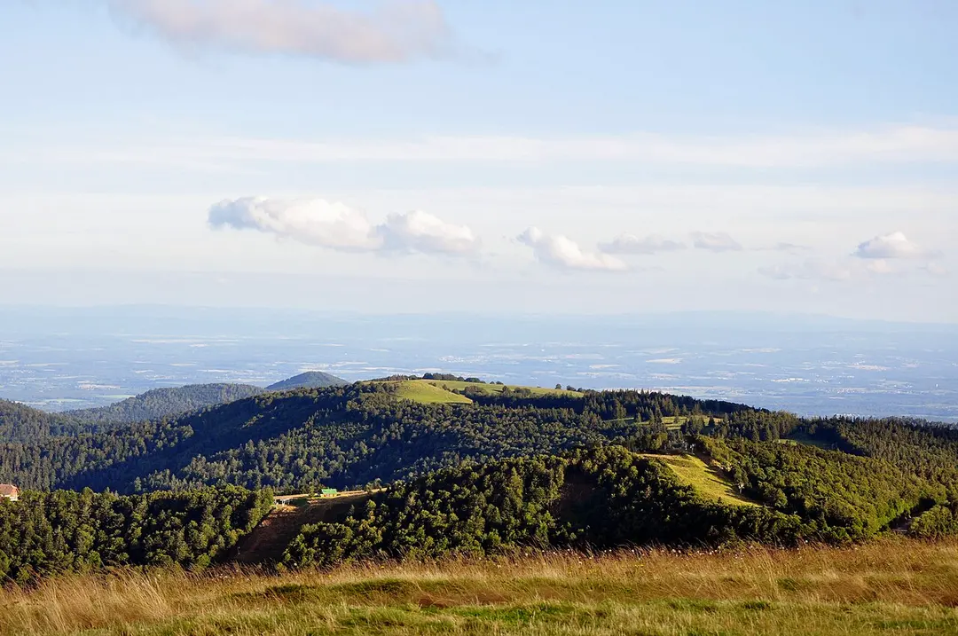 Plain de la Gentiane