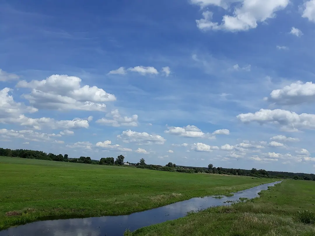Rudzianka