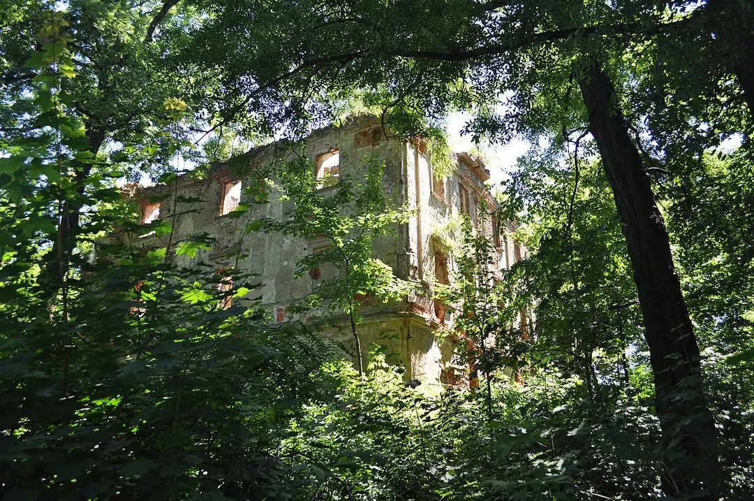 Ruina pałacu