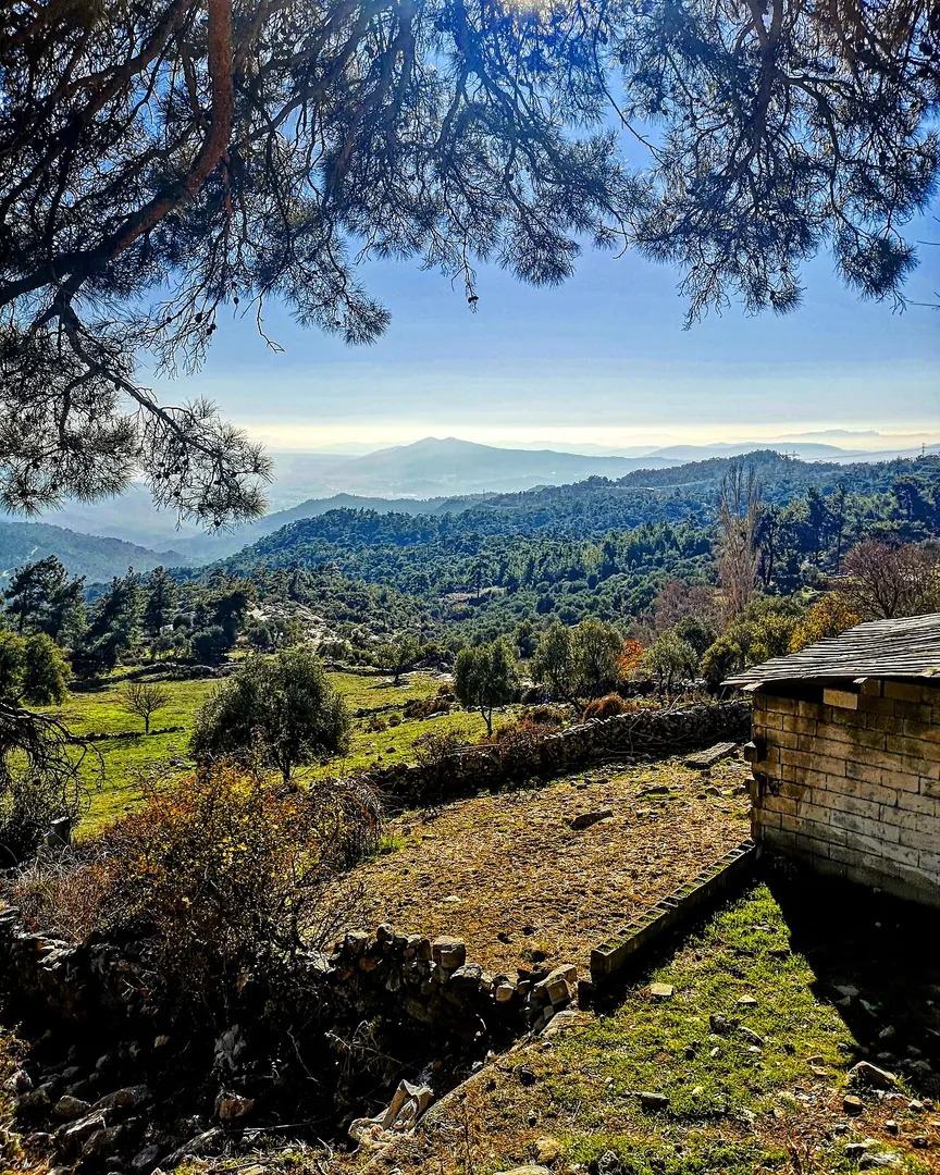 Labranda