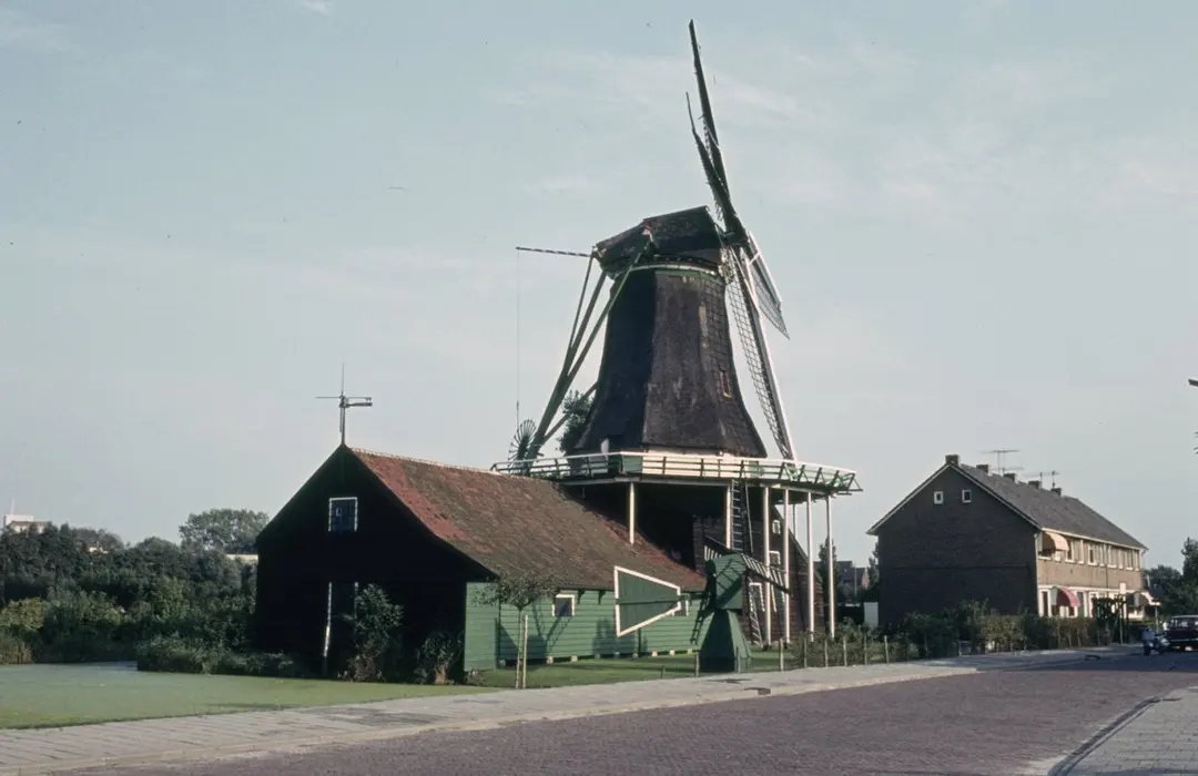 De Zwaan