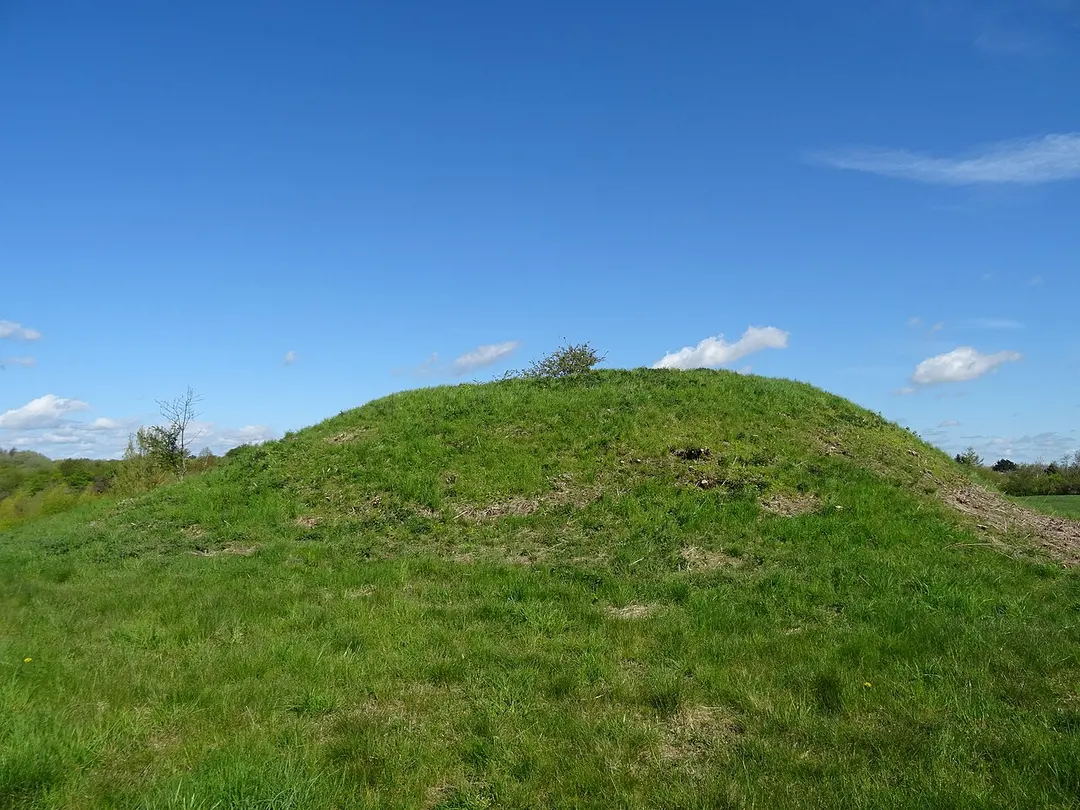 Brandhøj