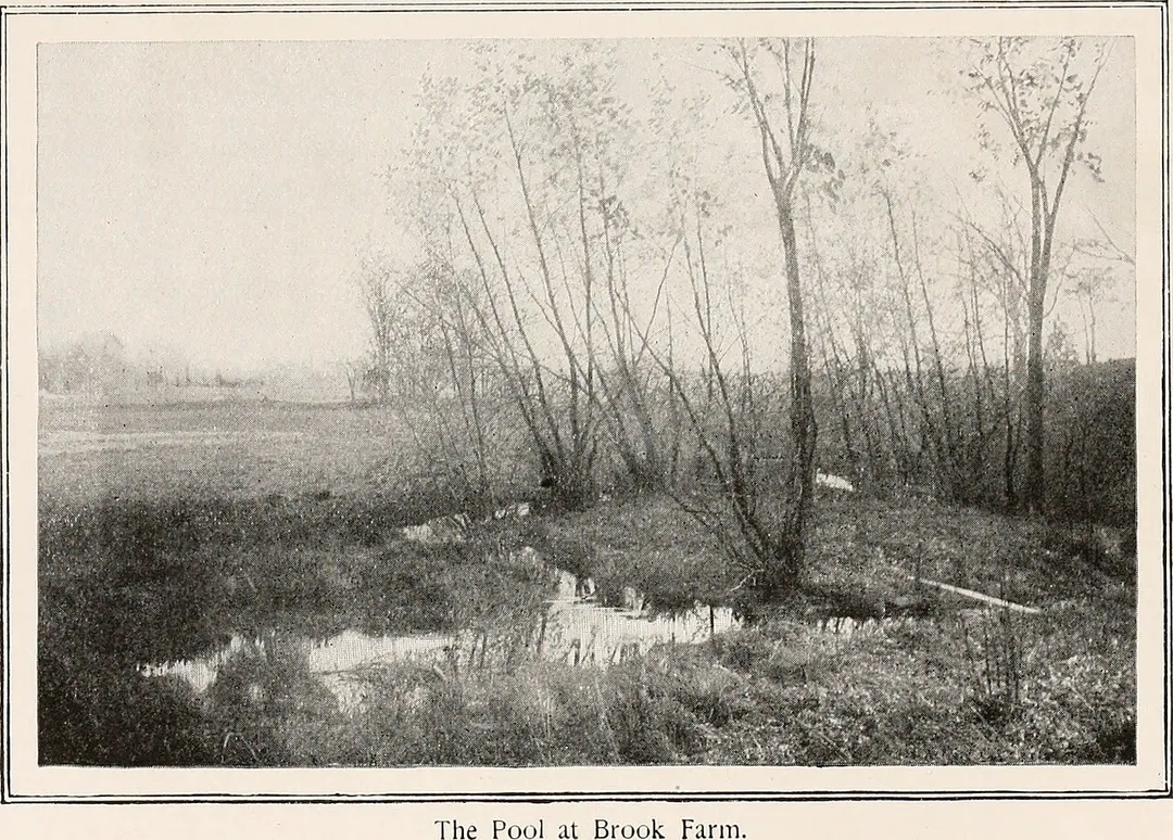 Brook Farm