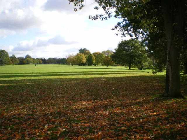 Bantock House Museum