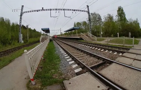 Колтуши