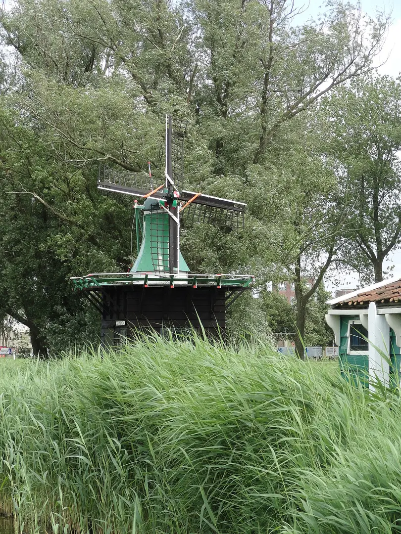 De Windhond