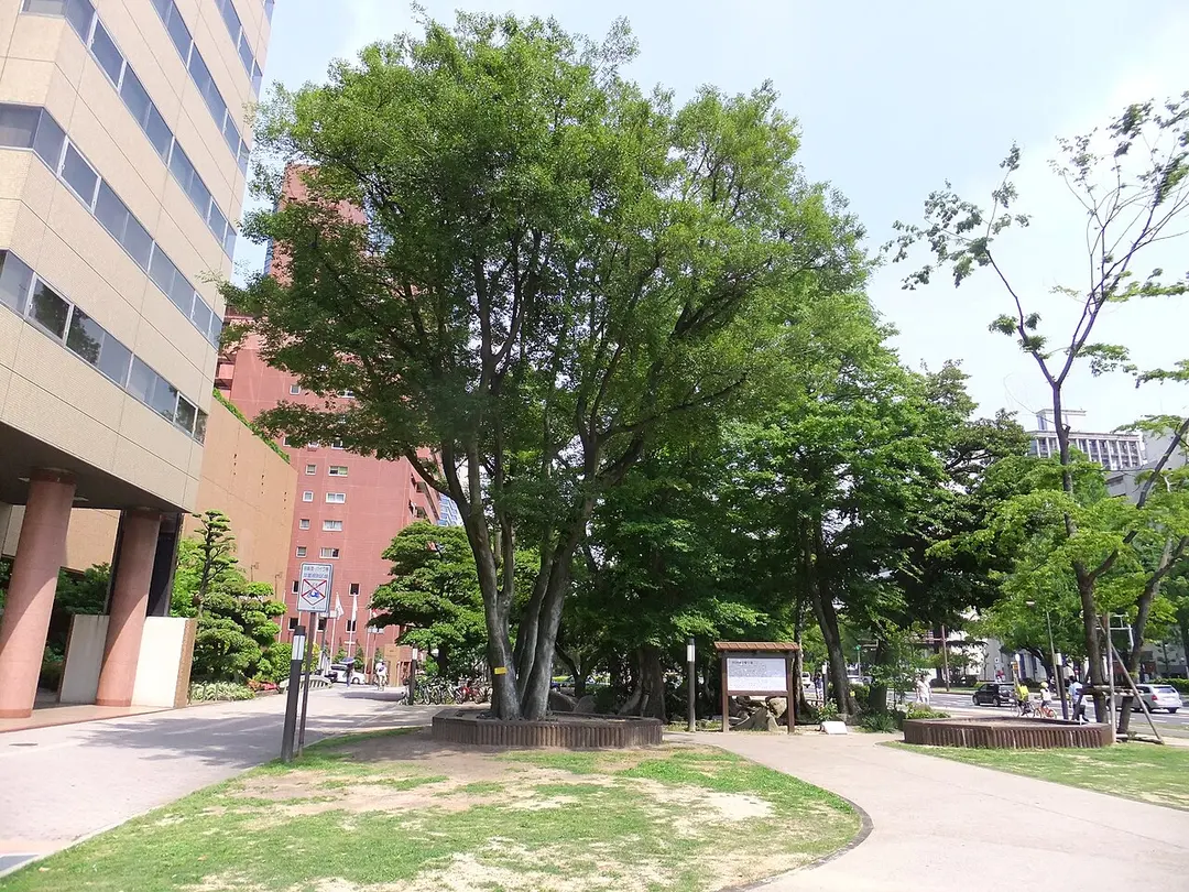 国泰寺