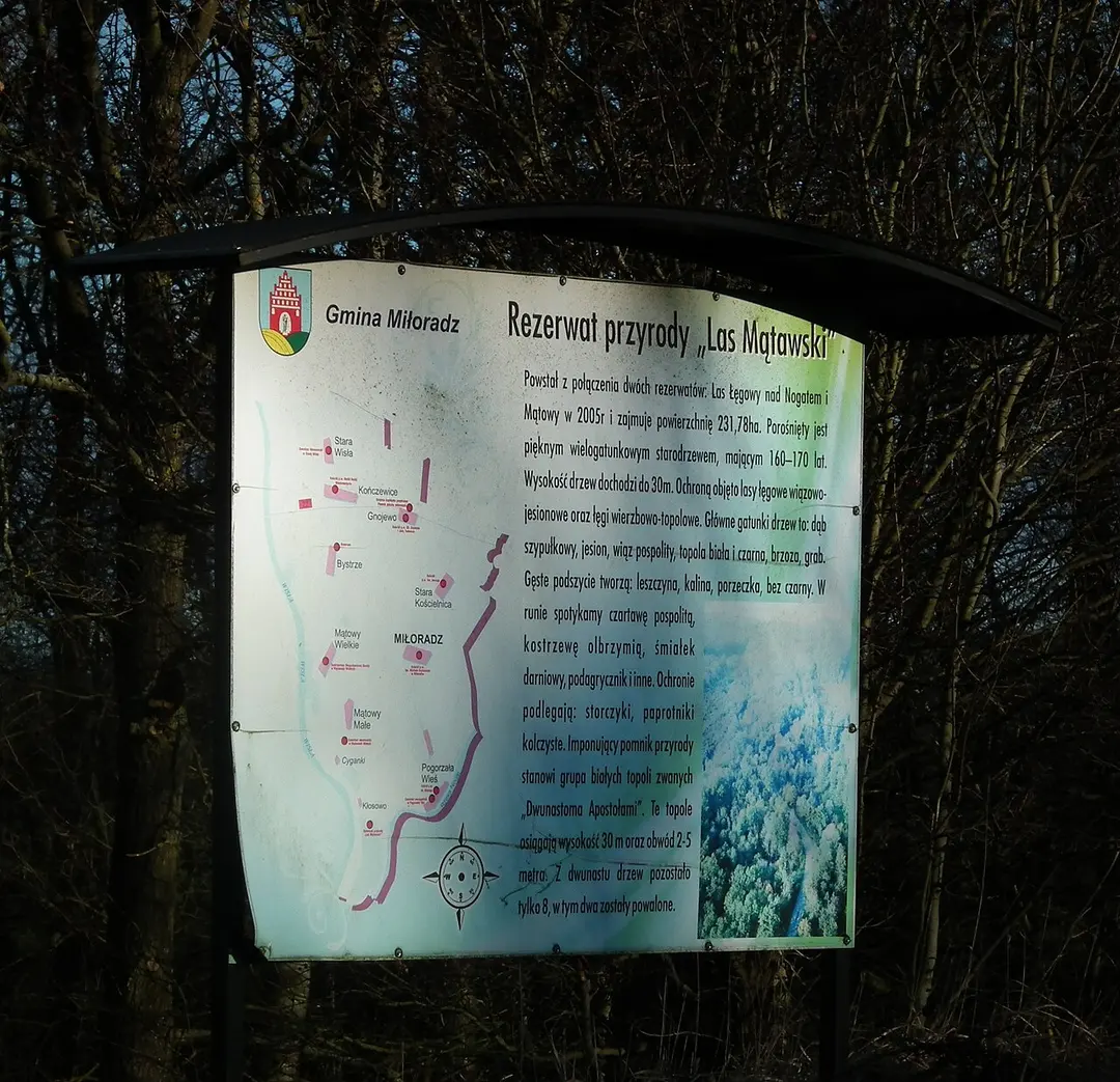 Rezerwat Las Mątawski