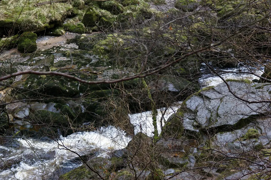 The Strid