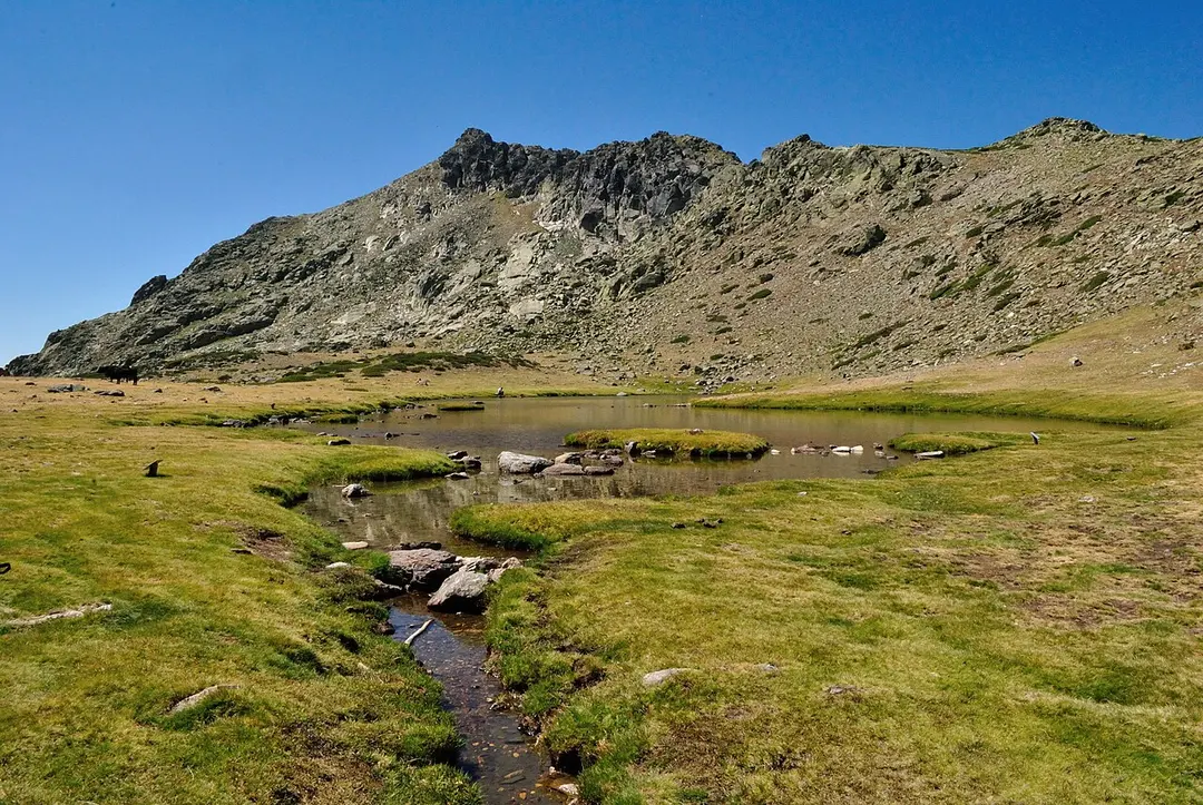 laguna de los Pájaros
