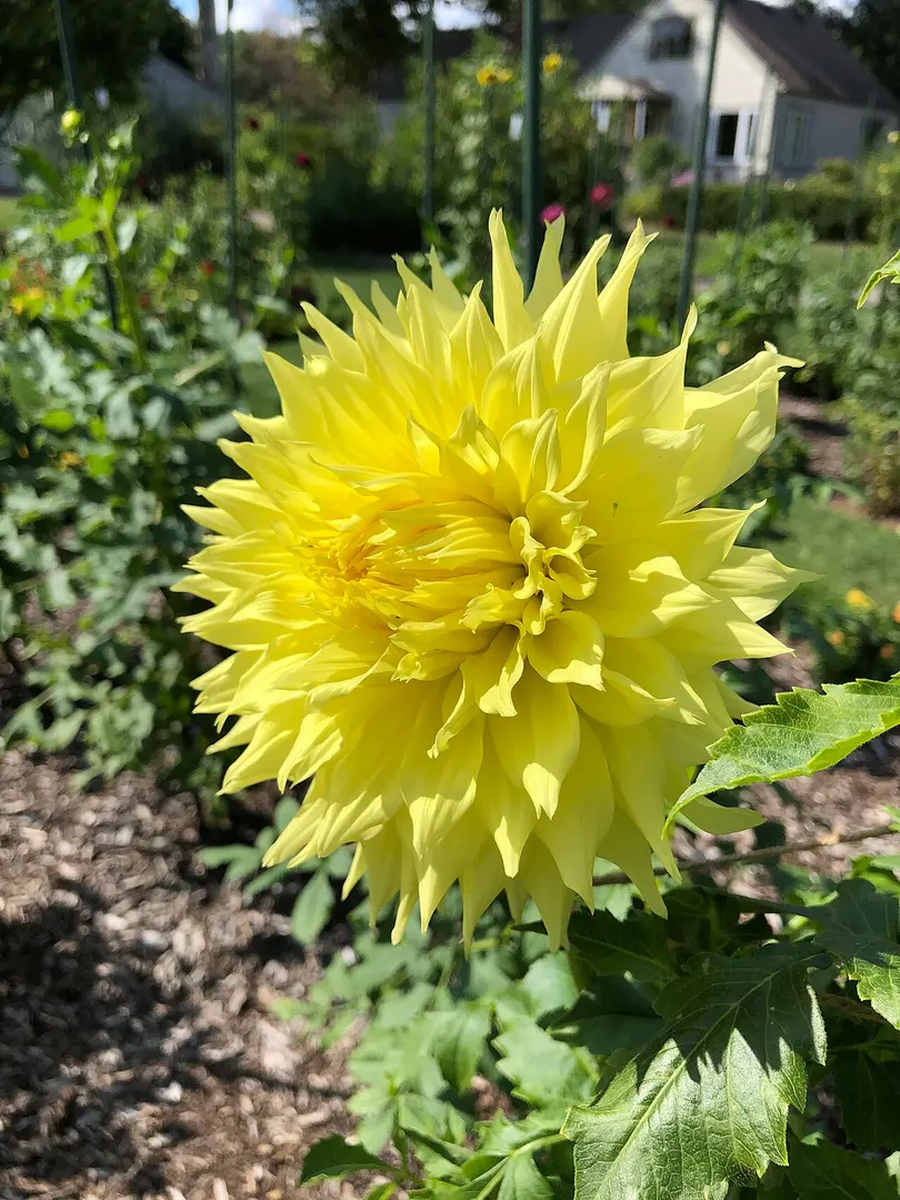 Toledo Botanical Garden