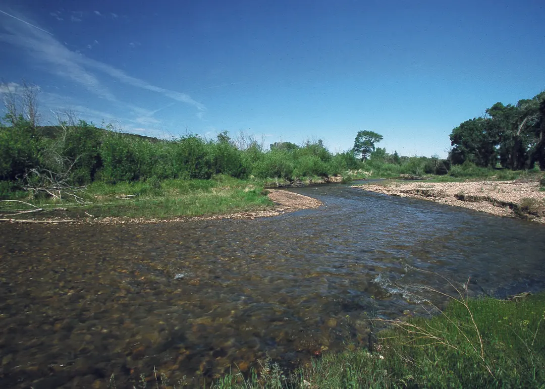 Trinchera Creek
