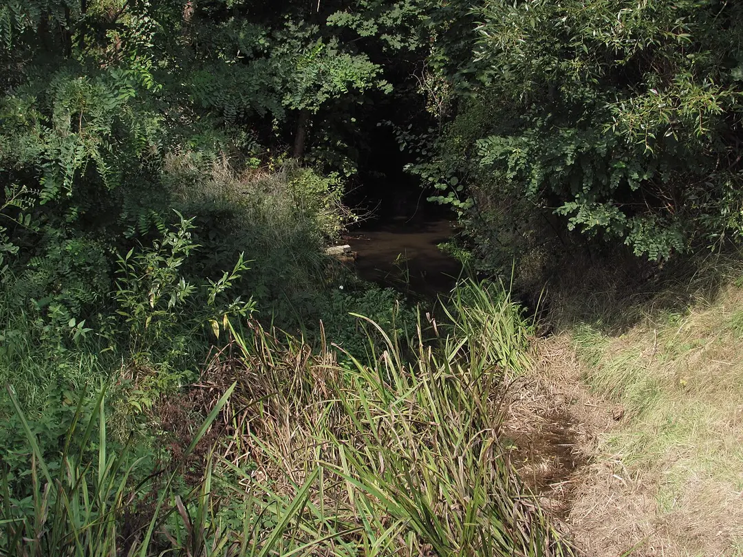 Buckauer Hauptgraben