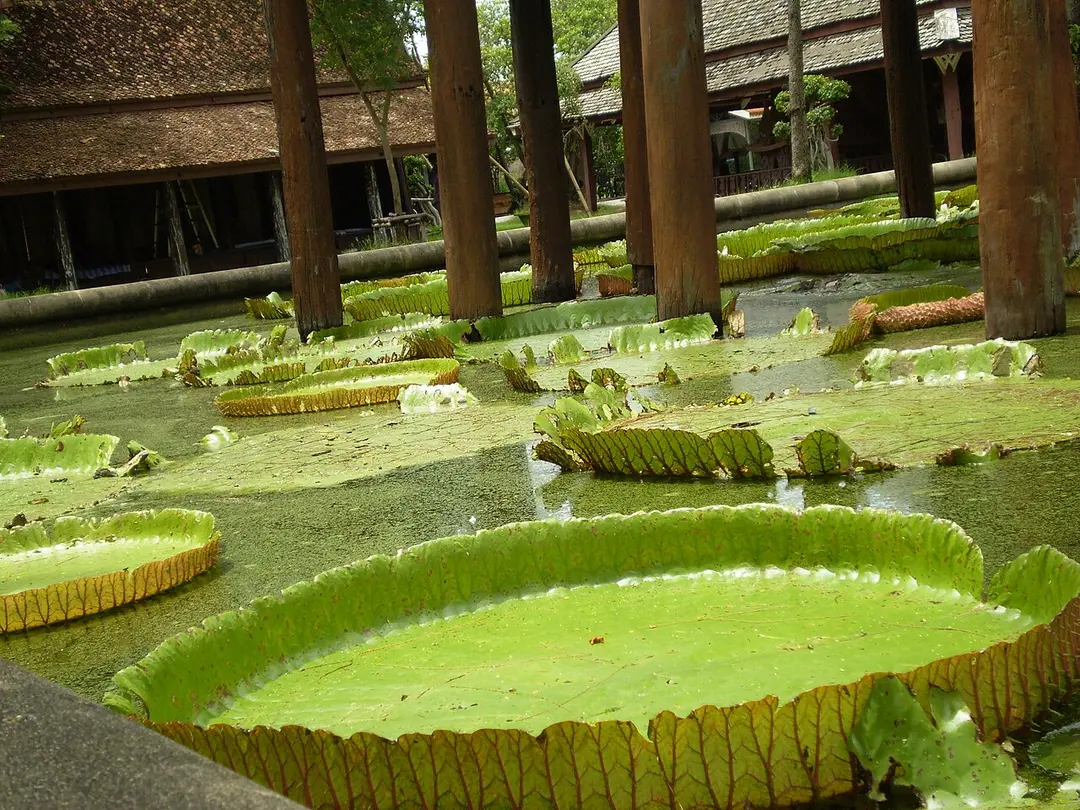 เมืองโบราณ