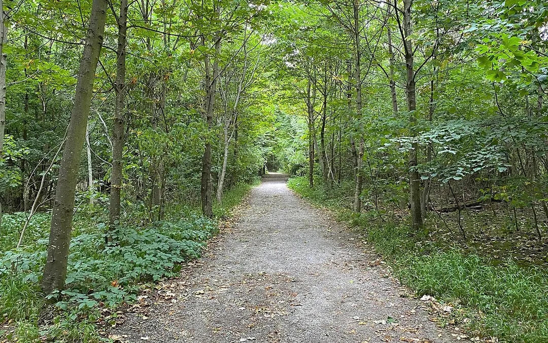 Steinhofgründe