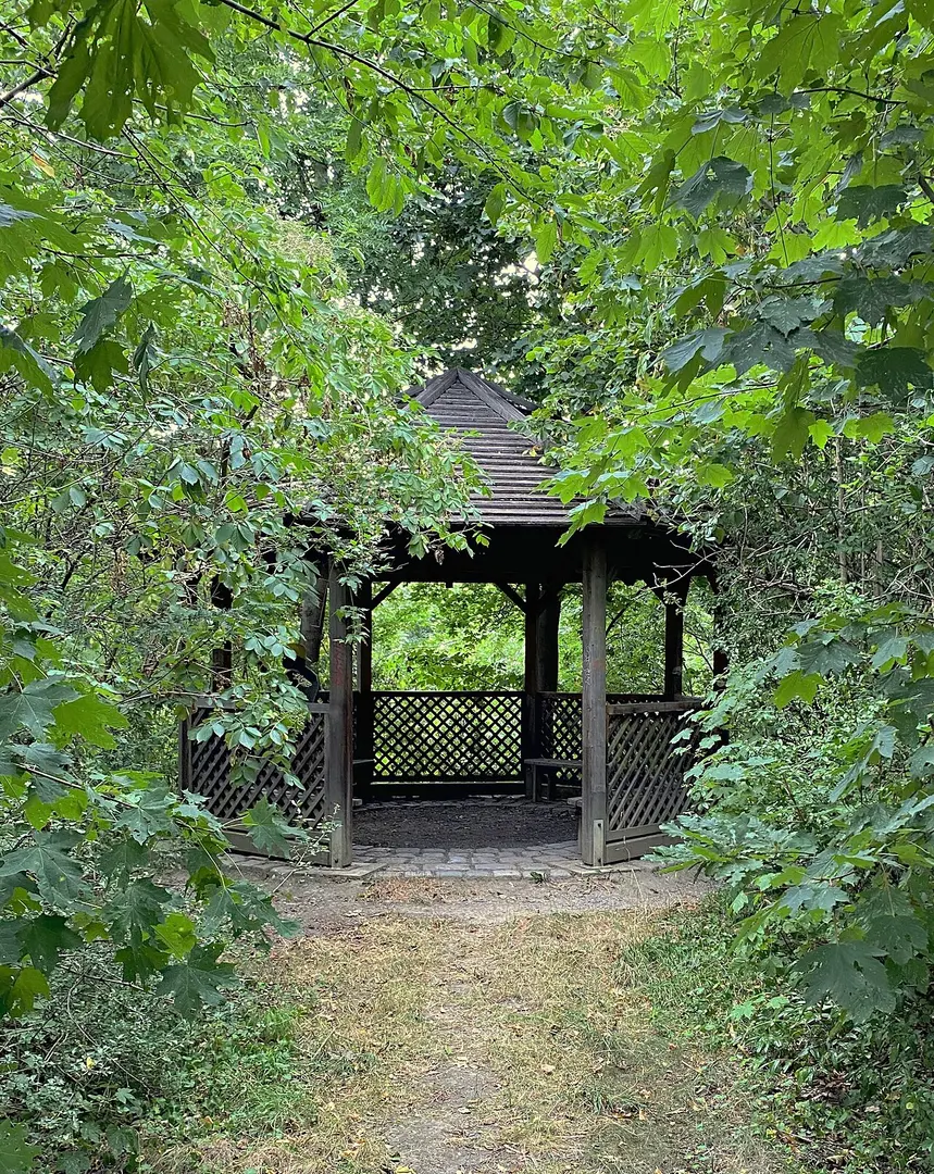 Steinhofgründe