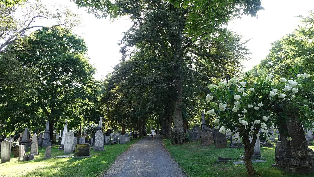 Camp Hill Cemetery