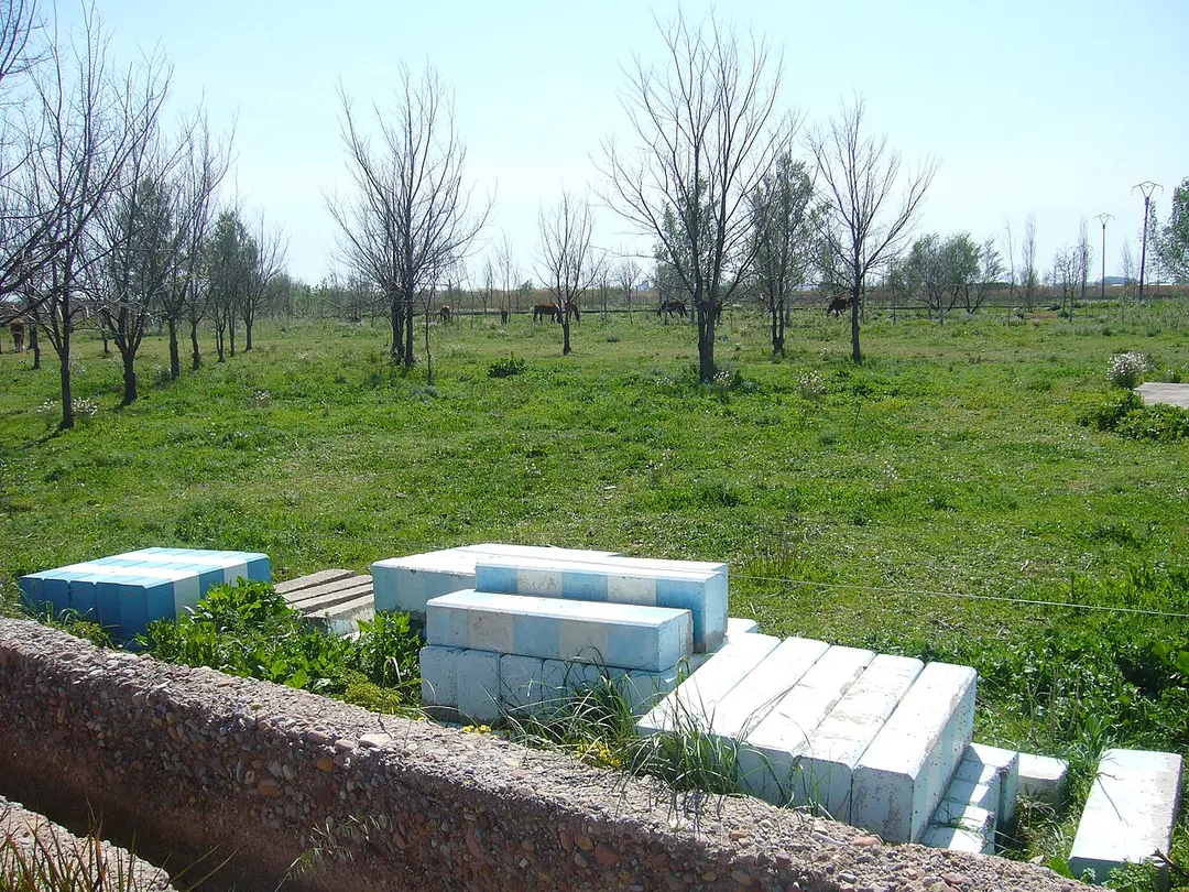 Marjal dels Moros