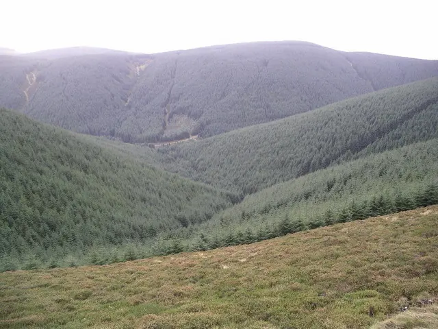 Bowbeat Hill