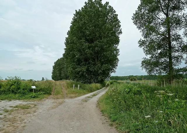 RSPB Lakenheath Fen