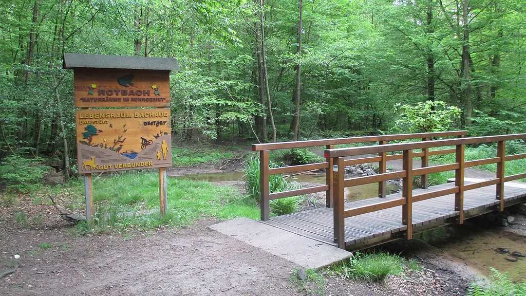 Kirchheller Heide und Hilsfelder Wald