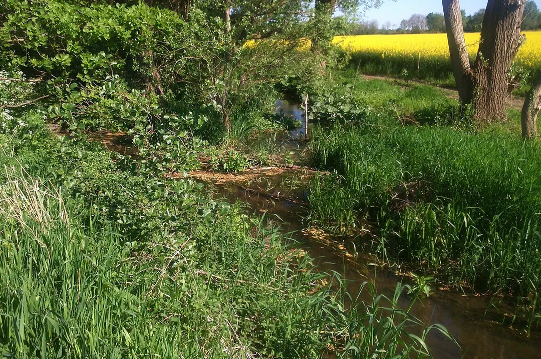 Orrer Wald und Große Laache