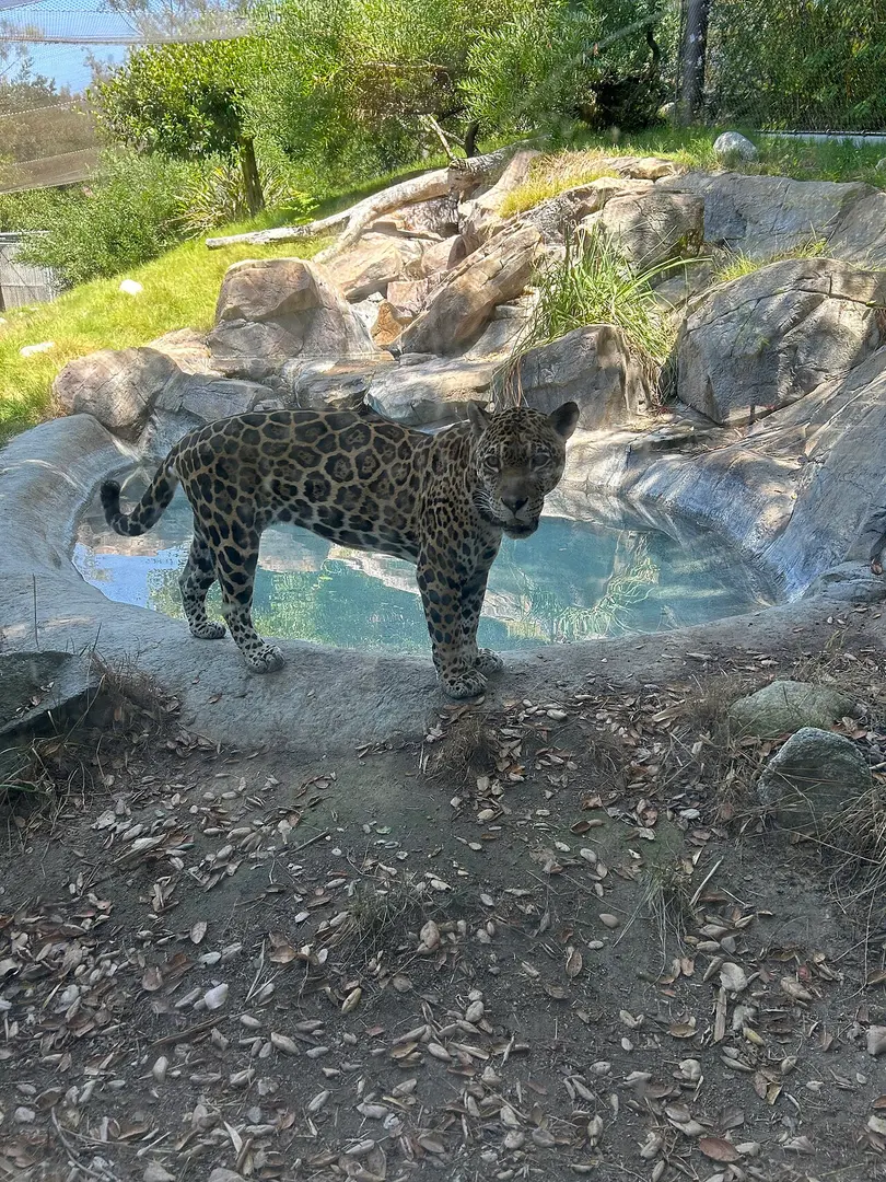 Los Angeles Zoo
