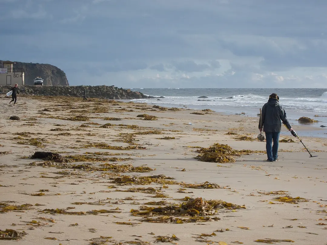 Salt Creek Beach Park