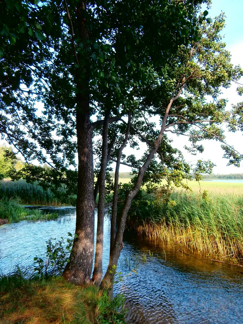 Stropu ezers
