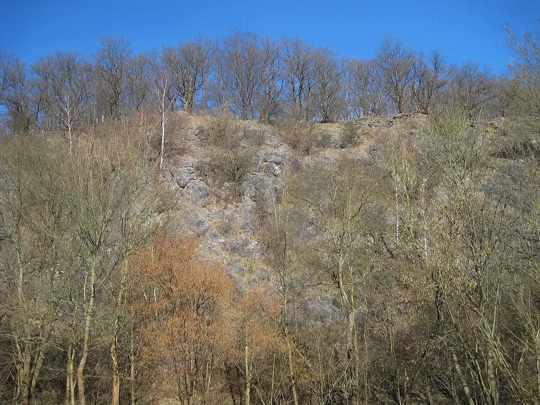 Sonderhorst