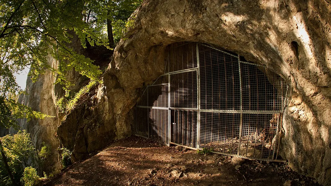 Brillenhöhle