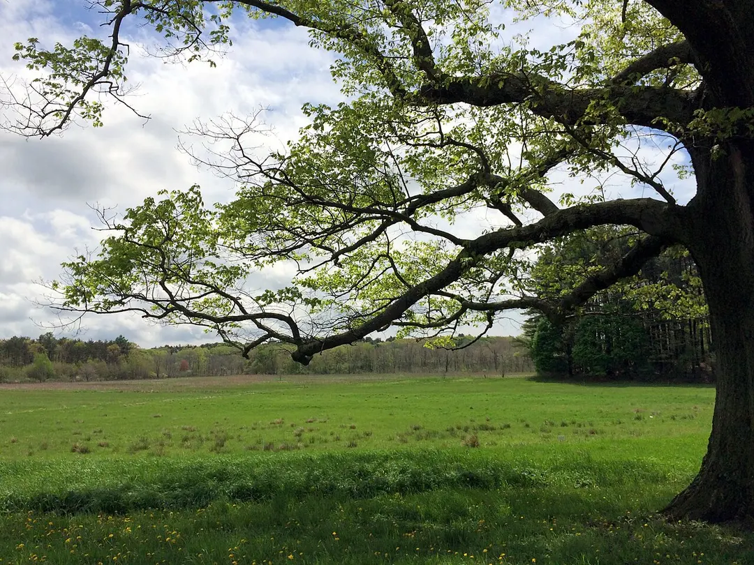 Appleton Farms