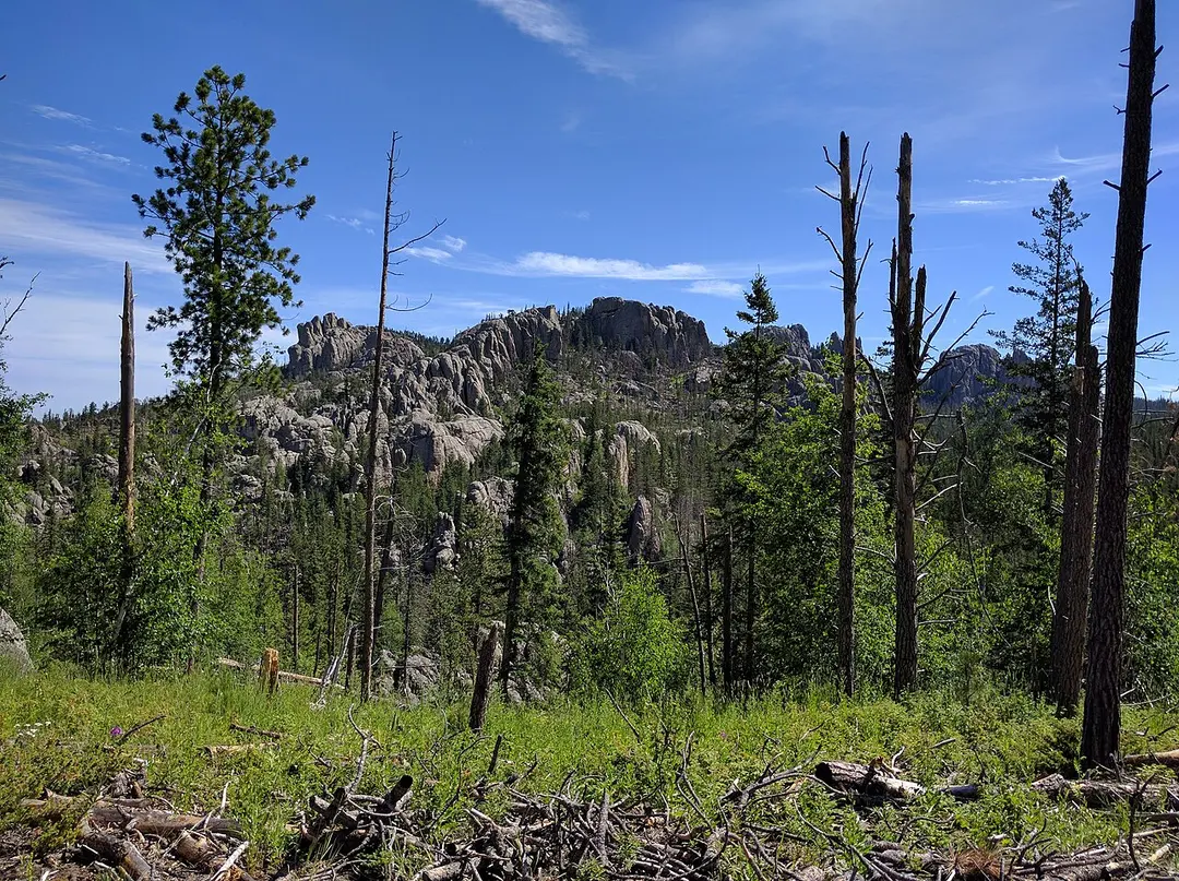 Black Elk Peak