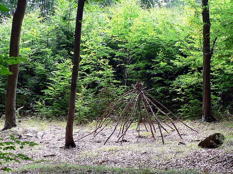 NPR Voděradské bučiny