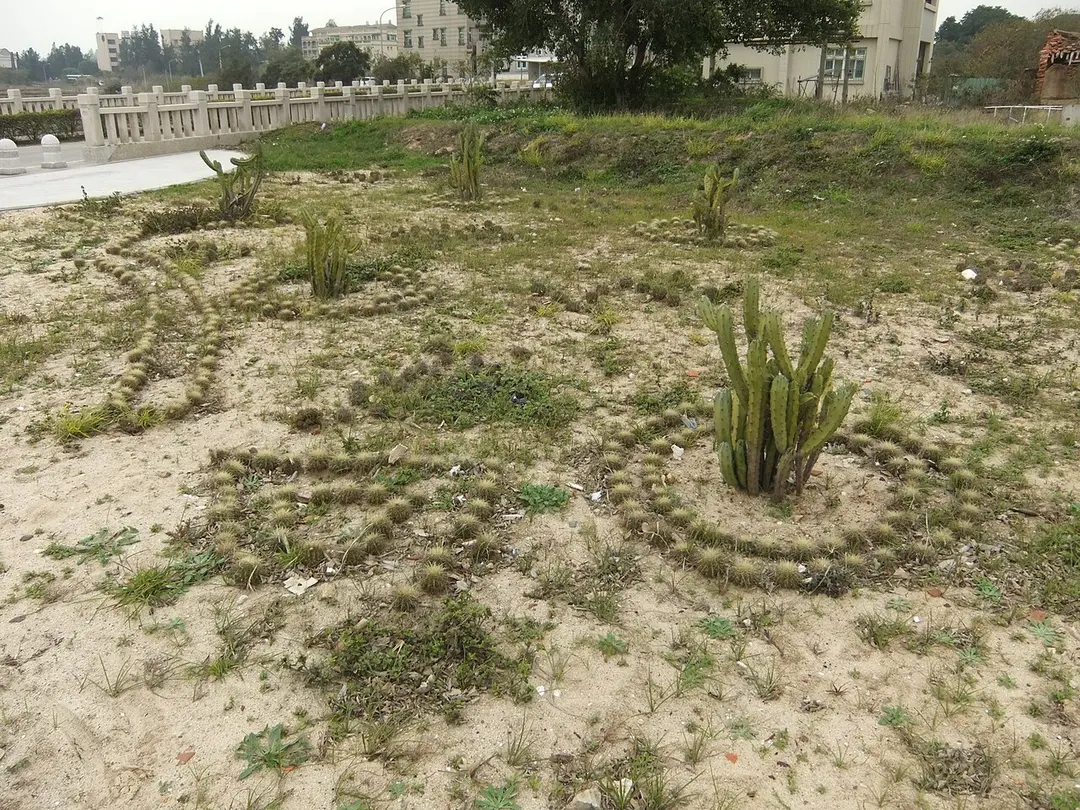 Jincheng Seaside Park