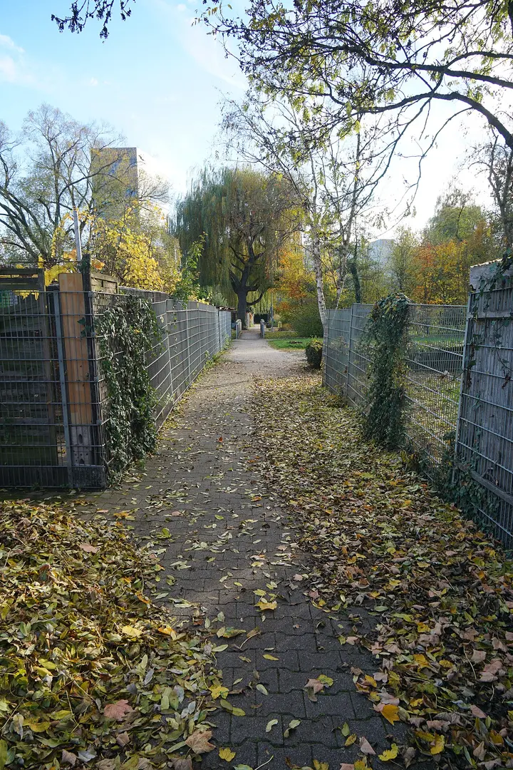 Freizeitpark am Goldbach